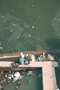 High angle view of woman sitting on retaining wall by river