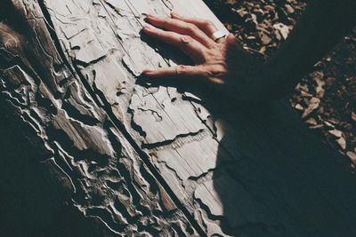 Cropped hand of person touching tree trunk