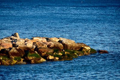 Scenic view of sea against blue sky