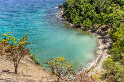 High angle view of trees on beach