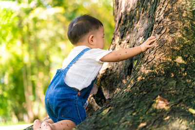 Cute boy playing by tree trunk at park