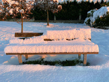 Snow covered bench on field against trees during winter