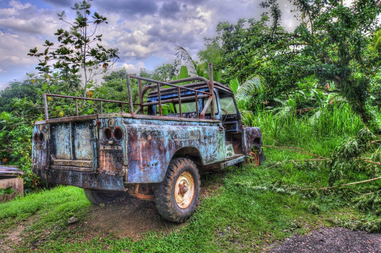 ABANDONED TRUCK ON GRASS