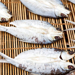 High angle view of fish in basket