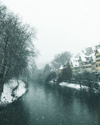 Trees and buildings against sky during winter