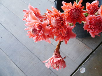 High angle view of flowers in pot on wooden table