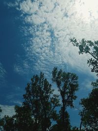 Low angle view of trees against sky