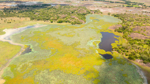 Wetlands among the jungles in the national park of sri lanka.