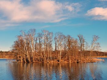 Bare trees by lake against sky