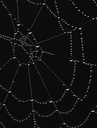 Close-up of spider web against black background