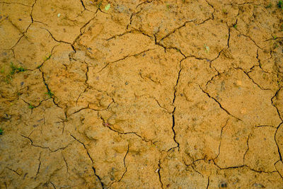 Full frame shot of cracked field