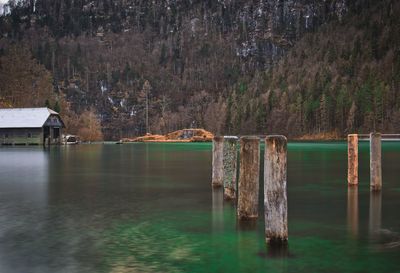 Wooden posts in lake against trees