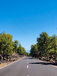 Road amidst trees against clear blue sky