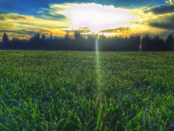 Scenic view of grassy field against sky at sunset