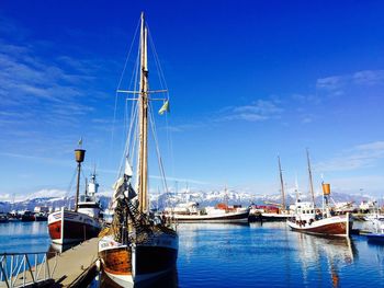 Boats moored at harbor