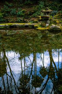 Reflection of trees in lake