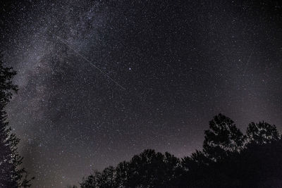 Low angle view of silhouette trees against sky at night