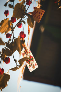 Close-up of decoration hanging on tree