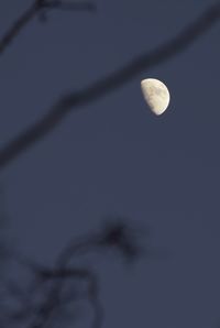 Low angle view of moon in sky