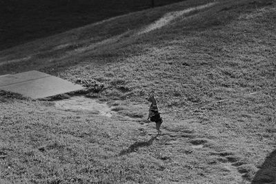 Full length of woman standing on field