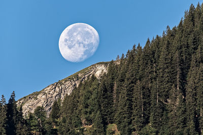 Low angle view of moon against clear sky