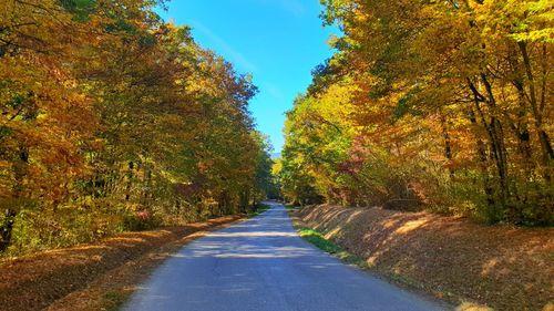 Road amidst trees during autumn