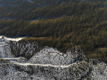 Aerial view of baltic sea beach