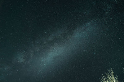 Milky way and night stars in the fields mood tone