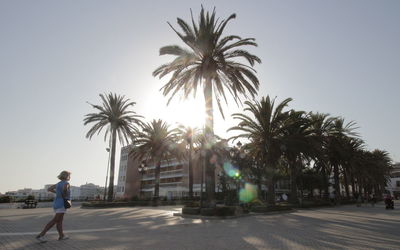 Man walking by palm trees against sky in city