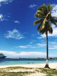 Palm trees on beach against sky