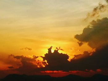 Low angle view of silhouette birds against sky during sunset