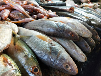 High angle view of fish for sale in market