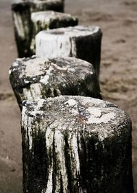 Close-up of wooden posts at beach