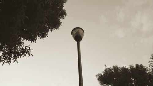 Low angle view of tree against sky