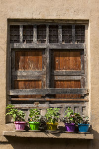 Potted plants on window sill of building