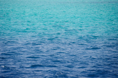 Red sea background, clean blue water, small waves