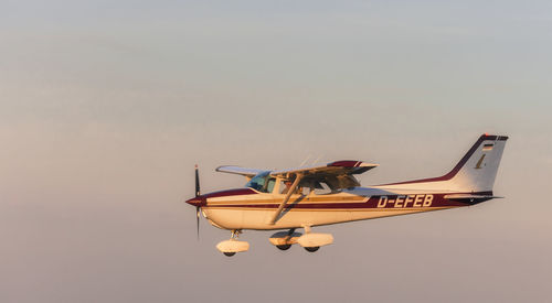 Low angle view of horse flying against sky