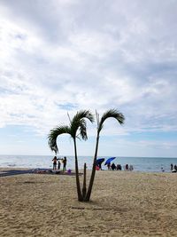 Group of people on beach