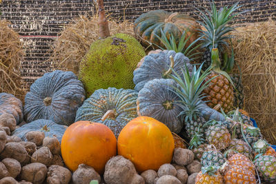 High angle view of pumpkins