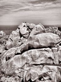 Close-up of lizard on rock at beach against sky