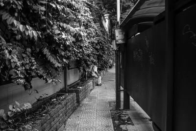 Flower trees by train
