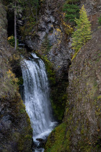 Scenic view of waterfall in forest