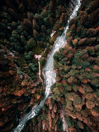 Aerial view of river with cabin in a forest in autumn