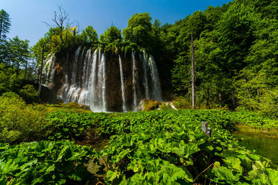 Scenic view of waterfall in forest against sky. croatia