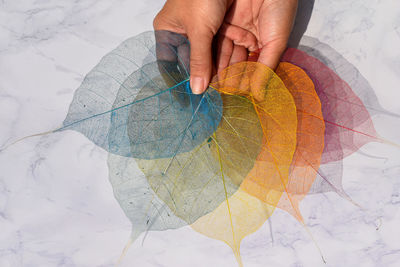 Midsection of person holding umbrella