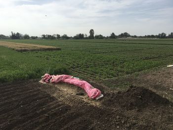 View of person lying in field