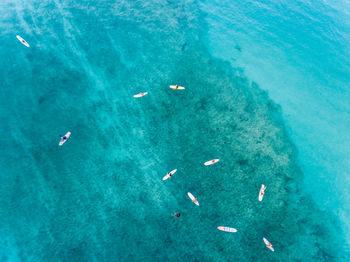 High angle view of people surfing in sea