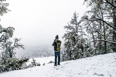 Rear view of person standing on snow covered land