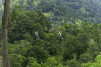 Men going on a zipline in the jungle. tree climbing in sri lanka. adventure, challenge concept