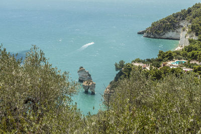 Baia delle zagare in mattinata with arch rock